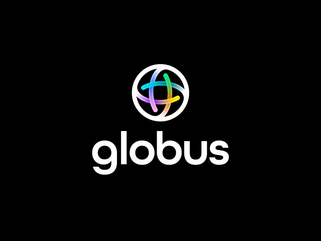 flow 48 logo design based on globe network connectivity
